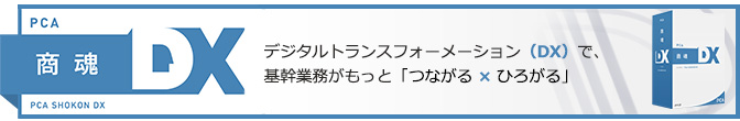 PCA商魂X